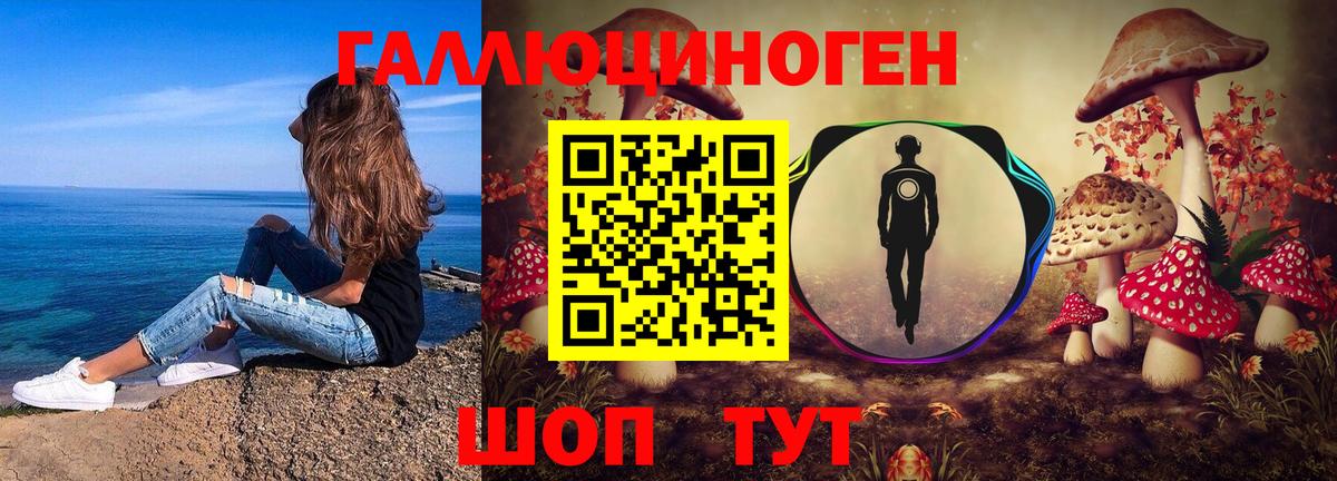 Псилоцибиновые грибы Psilocybine cubensis  Вход с VPN  Прокопьевск  наркотики  Псилоцибиновые грибы мухоморы 